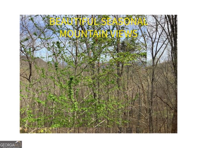 7026 Peebles Road, Young Harris, GA 30582
