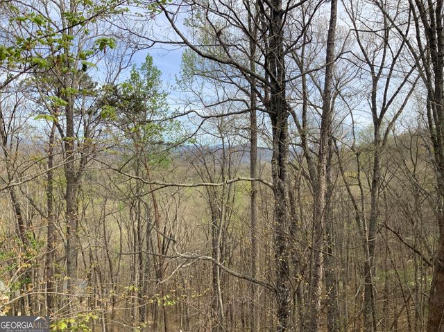 7026 Peebles Road, Young Harris, GA 30582