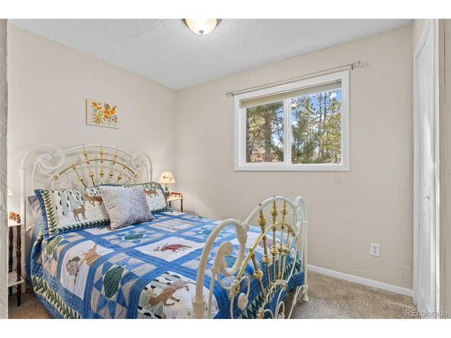1995 Mockingbird Trl, Bailey, CO 80421