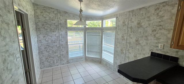 24430 Oak Hollow Boulevard, Hockley, TX 77447