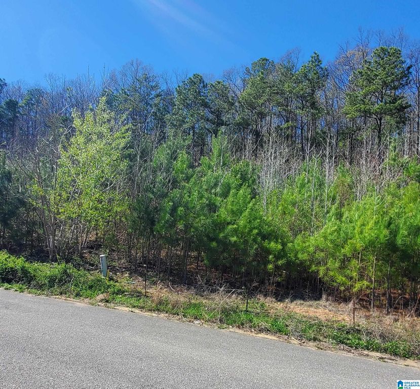 5920 HIGH FOREST DRIVE, Mccalla, AL 35111