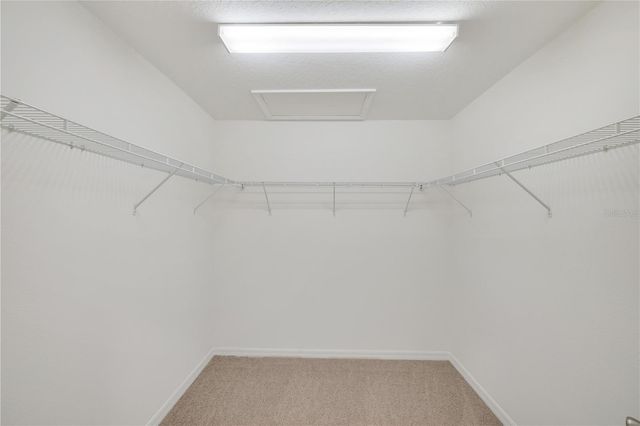 13916 RUSHING CREEK RUN, Orlando, FL 32824