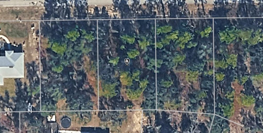 3192 W WILHELM STREET, Citrus Springs, FL 34433