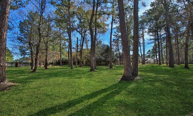 28333 Meadow Falls, Magnolia, TX 77355