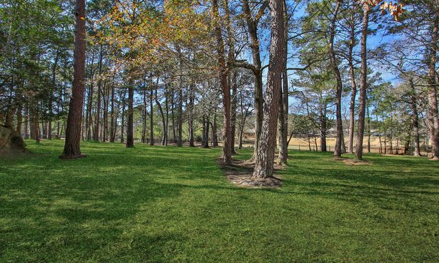 28333 Meadow Falls, Magnolia, TX 77355