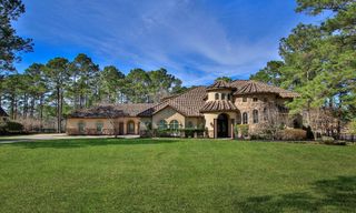 28333 Meadow Falls, Magnolia, TX 77355