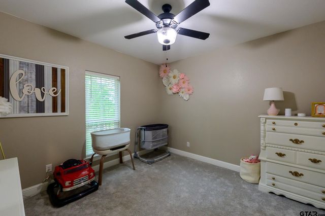 18348 N Lakeview Drive, Troup, TX 75789