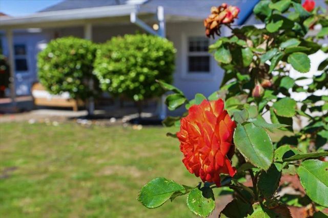 1019 Riverton Drive, San Carlos, CA 94070