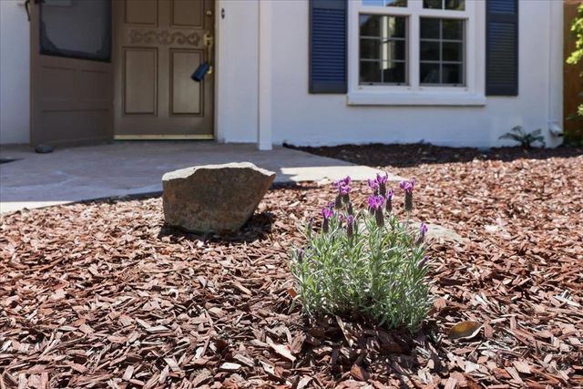 1019 Riverton Drive, San Carlos, CA 94070