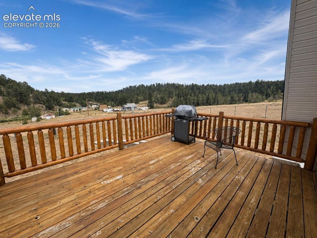 15 Dogie Trail, Lake George, CO 80827 — photo 3