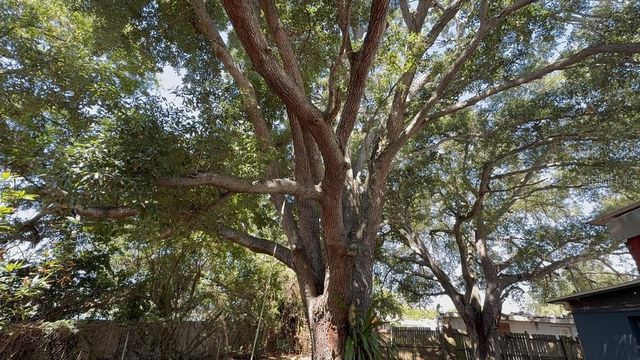 8507 LIBBY LANE, Tampa, FL 33619
