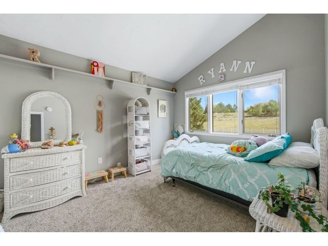 5620 Wild Plum Dr, Loveland, CO 80537