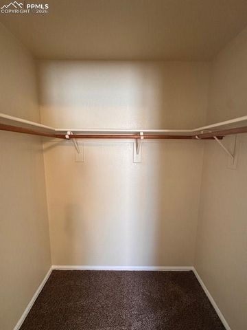 4425 Witches Hollow Lane, Colorado Springs, CO 80911