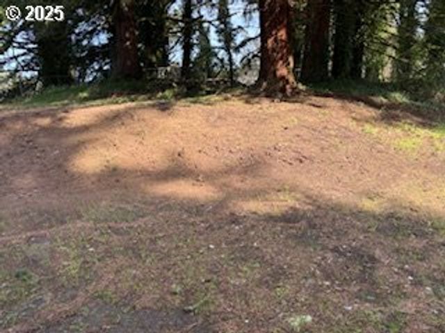 1484 YASEK Loop, Toledo, OR 97391