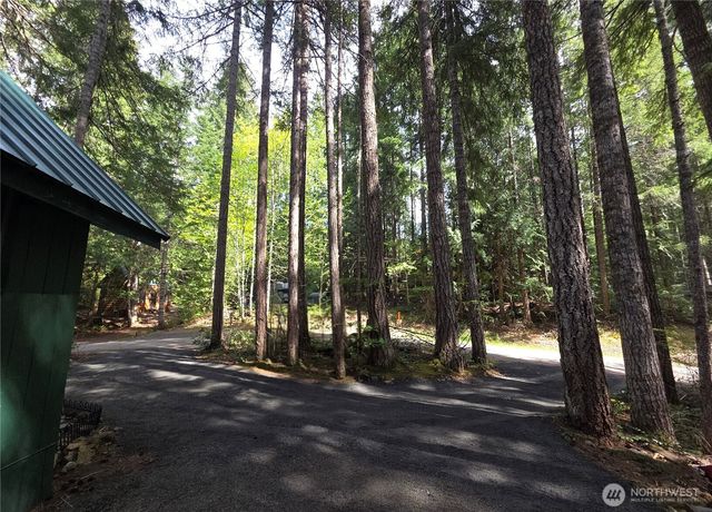 41 N Mt Rose Avenue, Hoodsport, WA 98548