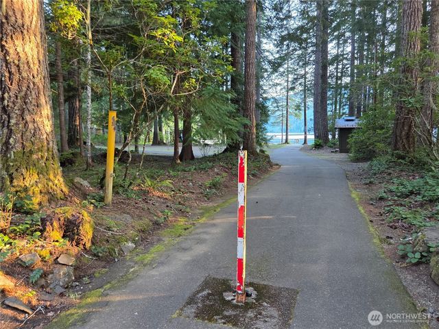41 N Mt Rose Avenue, Hoodsport, WA 98548
