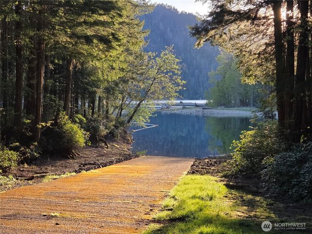 41 N Mt Rose Avenue, Hoodsport, WA 98548