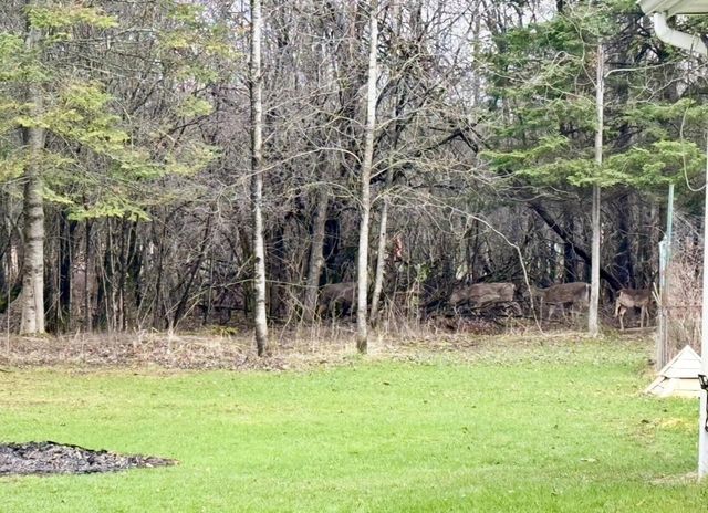 N15539 10TH AVENUE, Park Falls, WI 54552