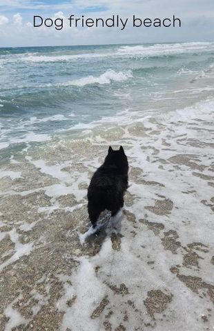 115 Olympus Way, Jupiter, FL 33477