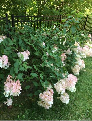 4988 Sefton Drive, St Louis, MO 63128