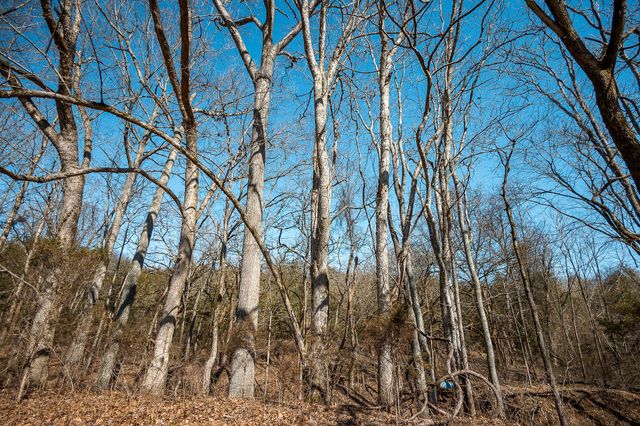 0 Cooper Hollow Rd, Auburntown, TN 37016