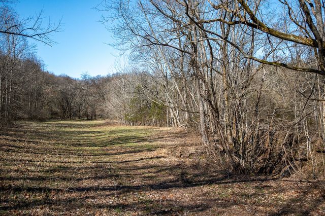 0 Cooper Hollow Rd, Auburntown, TN 37016