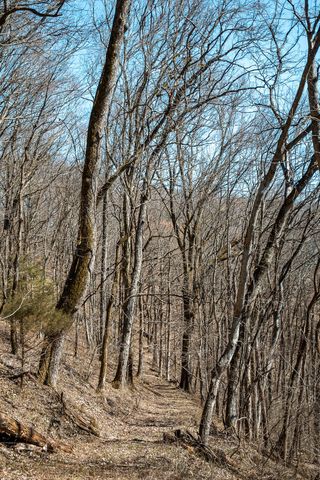 0 Cooper Hollow Rd, Auburntown, TN 37016