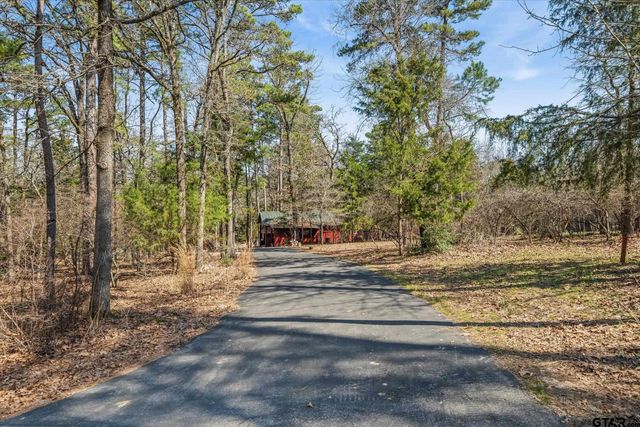 531 Knollwood Lane, Holly Lake Ranch, TX 75765