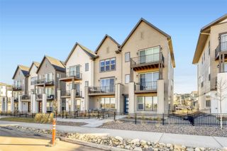 10848 Lyric Street, Parker, CO 80134