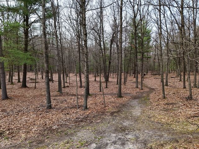 837 E Whitetail Drive, Midland, MI 48640