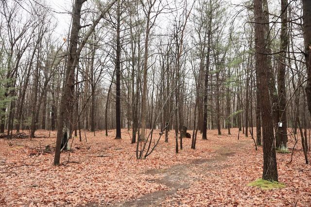 837 E Whitetail Drive, Midland, MI 48640