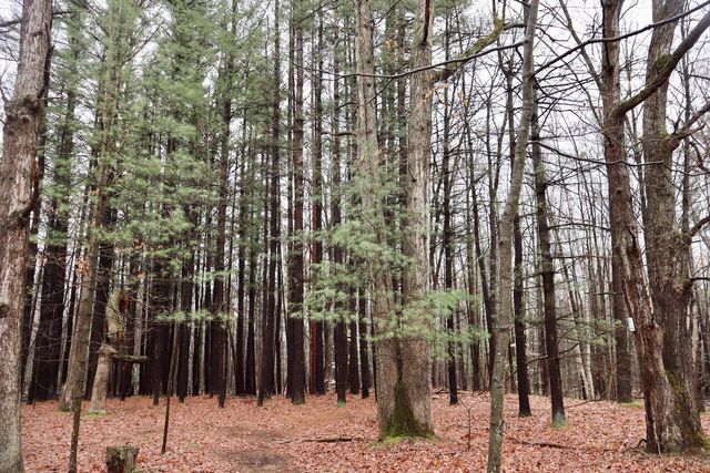 837 E Whitetail Drive, Midland, MI 48640