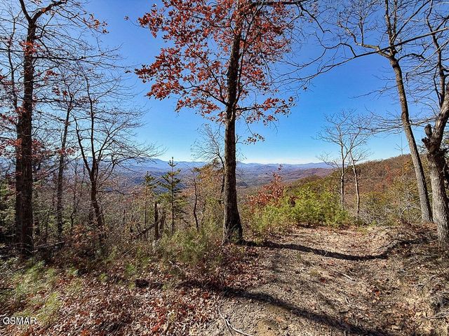 0 Mountain Ash Way, Sevierville, TN 37876