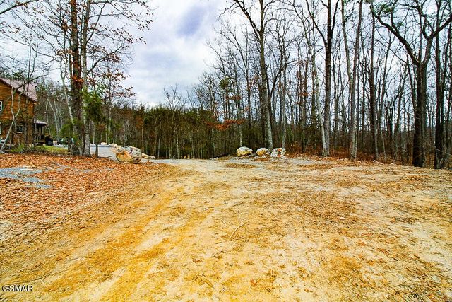 0 Mountain Ash Way, Sevierville, TN 37876