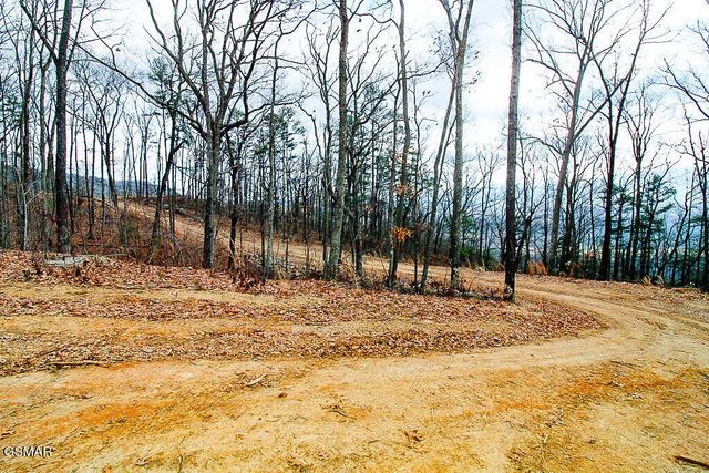 0 Mountain Ash Way, Sevierville, TN 37876