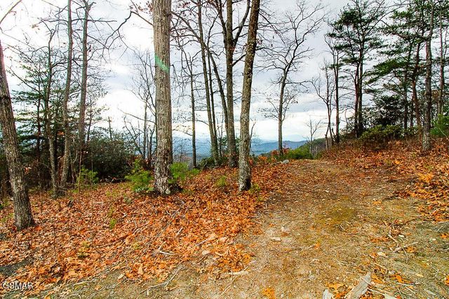 0 Mountain Ash Way, Sevierville, TN 37876