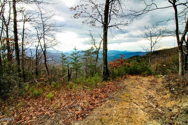 0 Mountain Ash Way, Sevierville, TN 37876