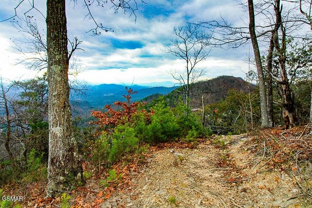 0 Mountain Ash Way, Sevierville, TN 37876