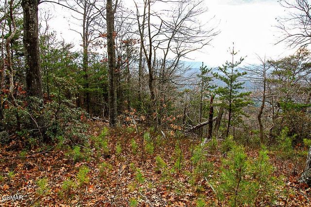 0 Mountain Ash Way, Sevierville, TN 37876