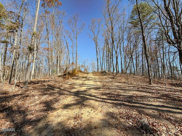 0 Mountain Ash Way, Sevierville, TN 37876