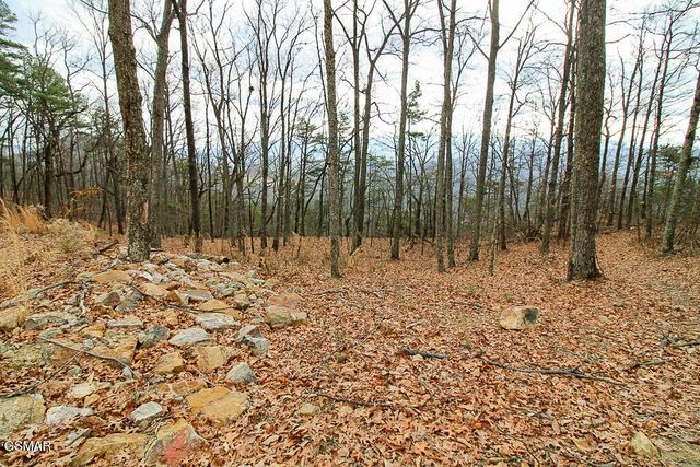 0 Mountain Ash Way, Sevierville, TN 37876