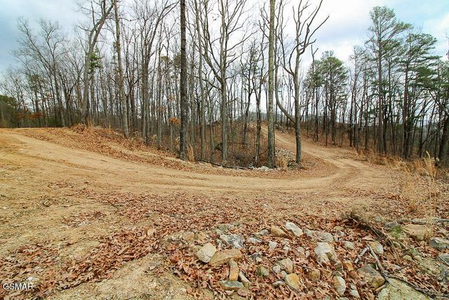 0 Mountain Ash Way, Sevierville, TN 37876