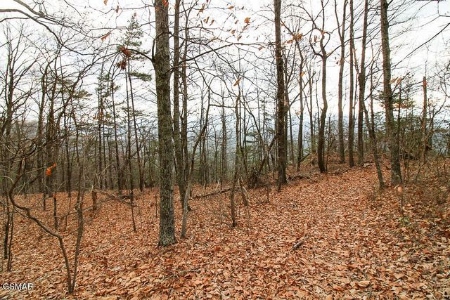 0 Mountain Ash Way, Sevierville, TN 37876