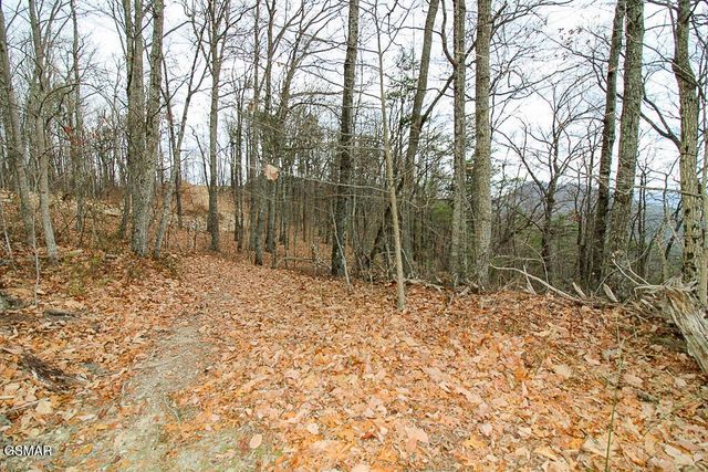 0 Mountain Ash Way, Sevierville, TN 37876
