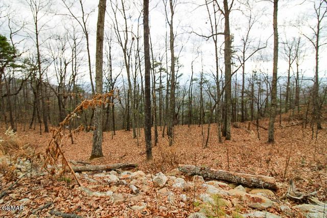 0 Mountain Ash Way, Sevierville, TN 37876