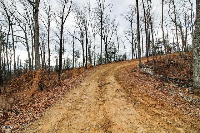0 Mountain Ash Way, Sevierville, TN 37876