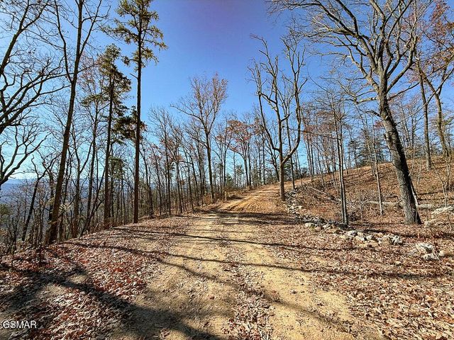 0 Mountain Ash Way, Sevierville, TN 37876