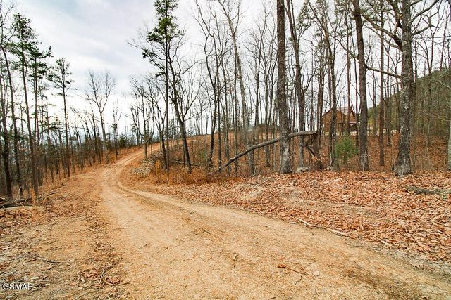 0 Mountain Ash Way, Sevierville, TN 37876