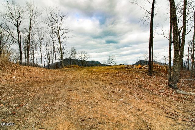 0 Mountain Ash Way, Sevierville, TN 37876