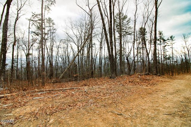 0 Mountain Ash Way, Sevierville, TN 37876